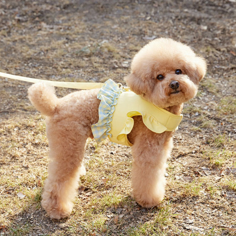 Dog Color Contrast Traction Ro - Lace Teddy Lingerie のレビューと価格